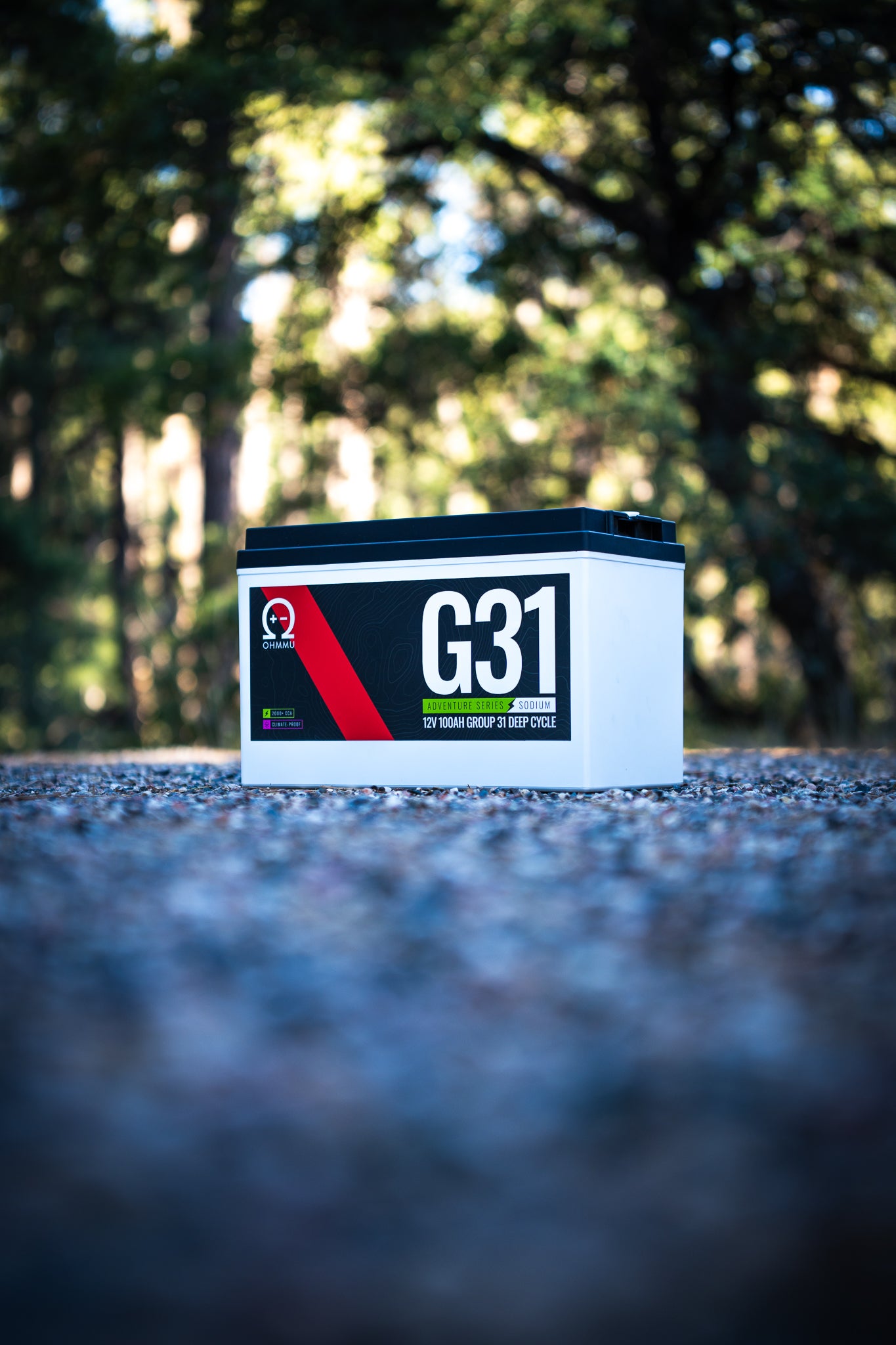 Group 31 Sodium 12V Battery