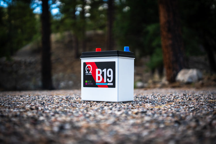 B19 - Sodium 12V Battery