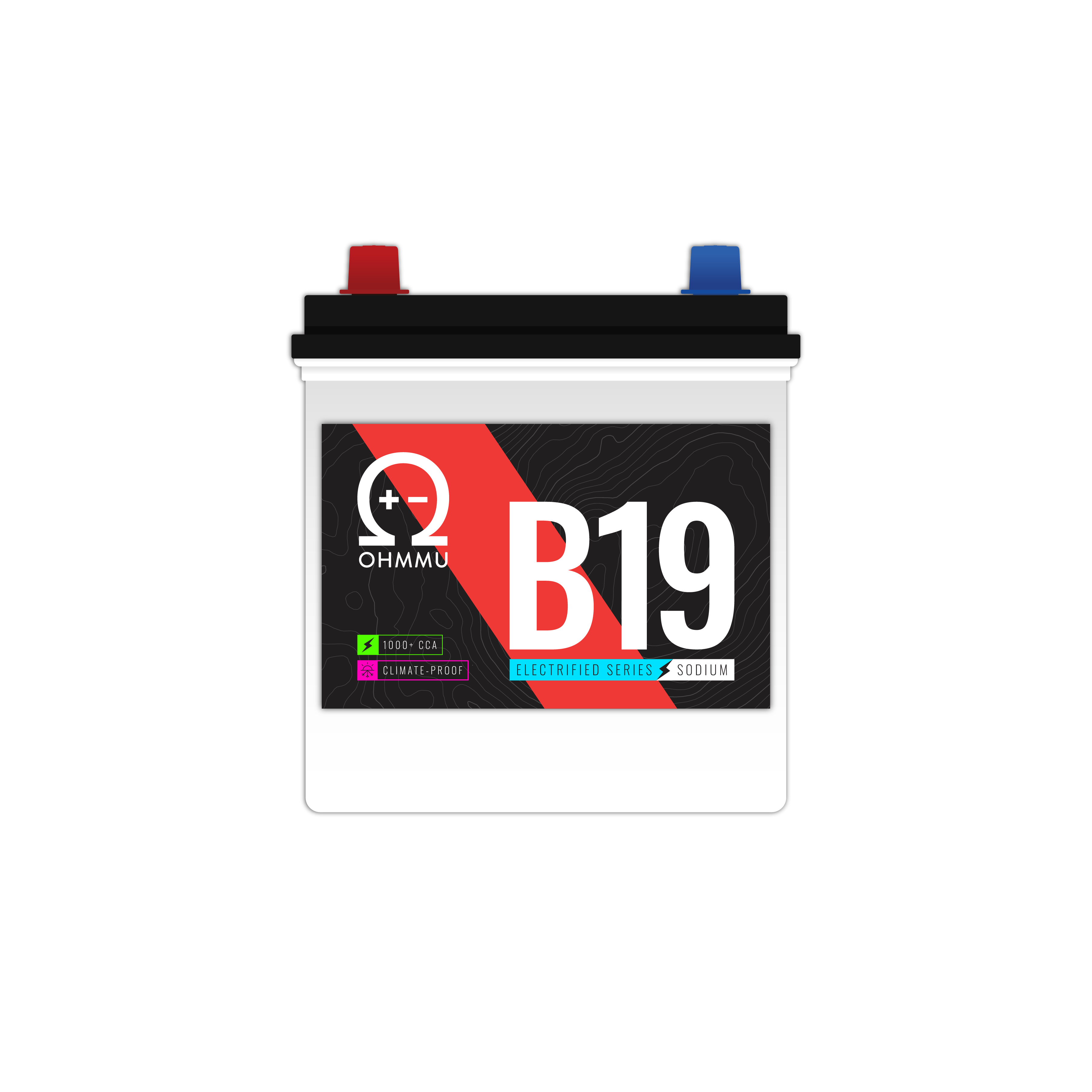 B19 - Sodium 12V Battery