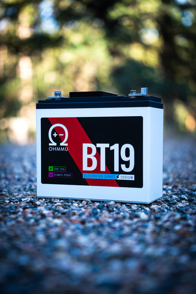 BT19 Sodium 12V Battery